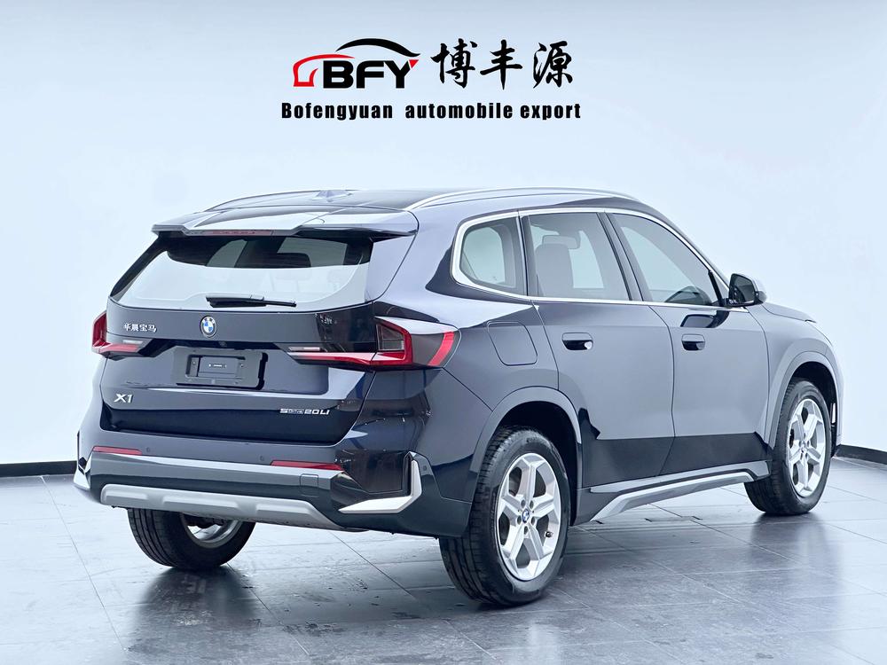 BMW BMW X1
