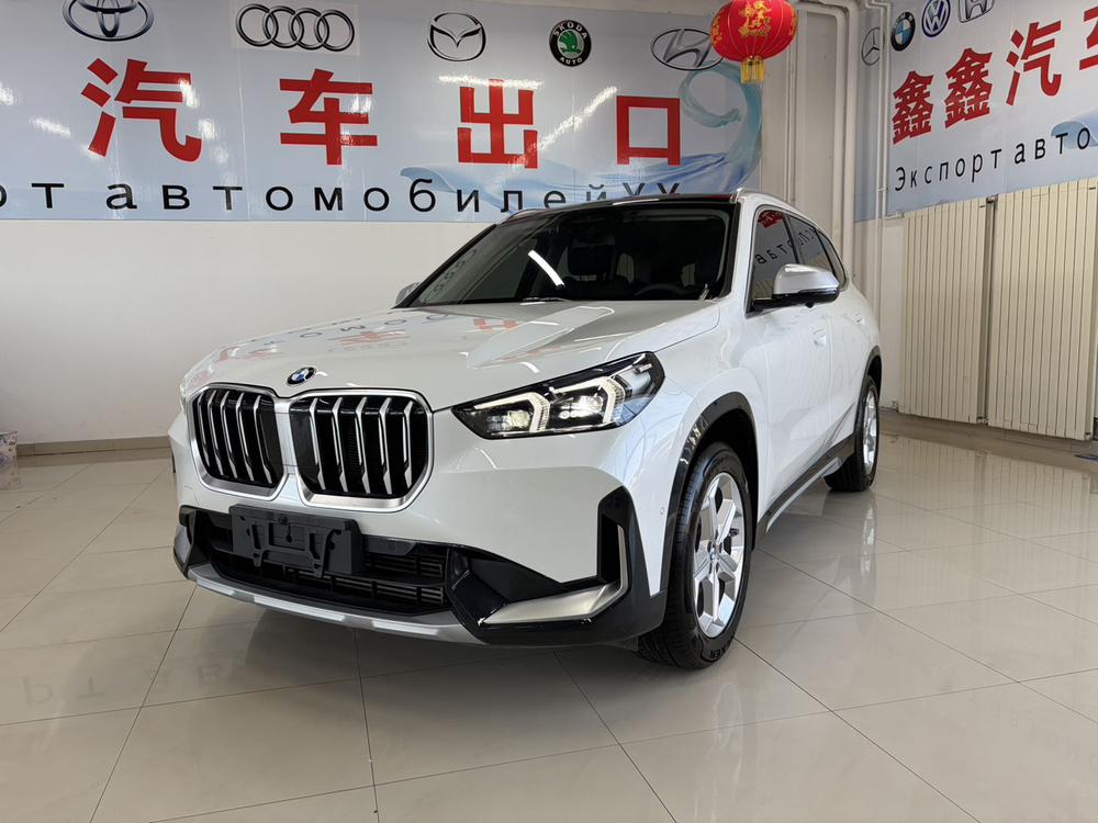 BMW BMW X1