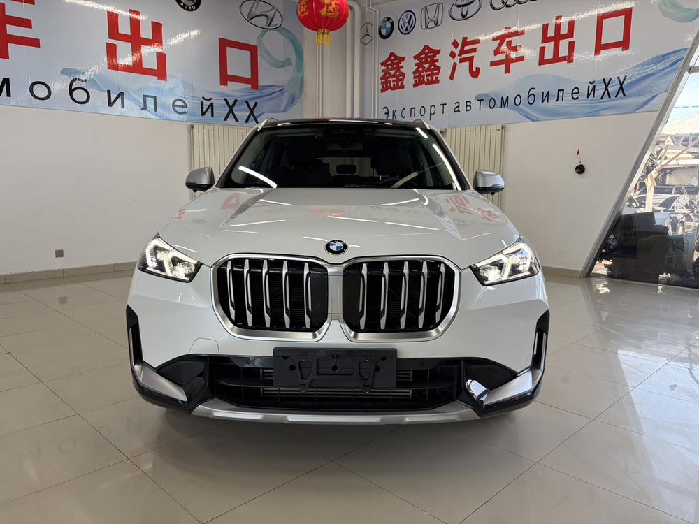 BMW BMW X1