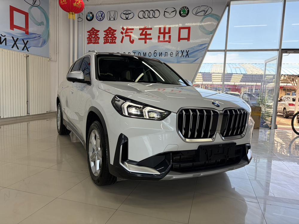 BMW BMW X1