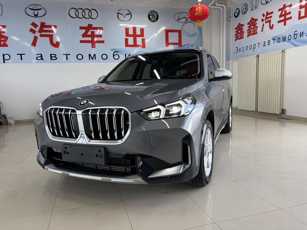 BMW BMW X1