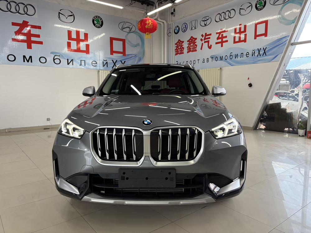 BMW BMW X1