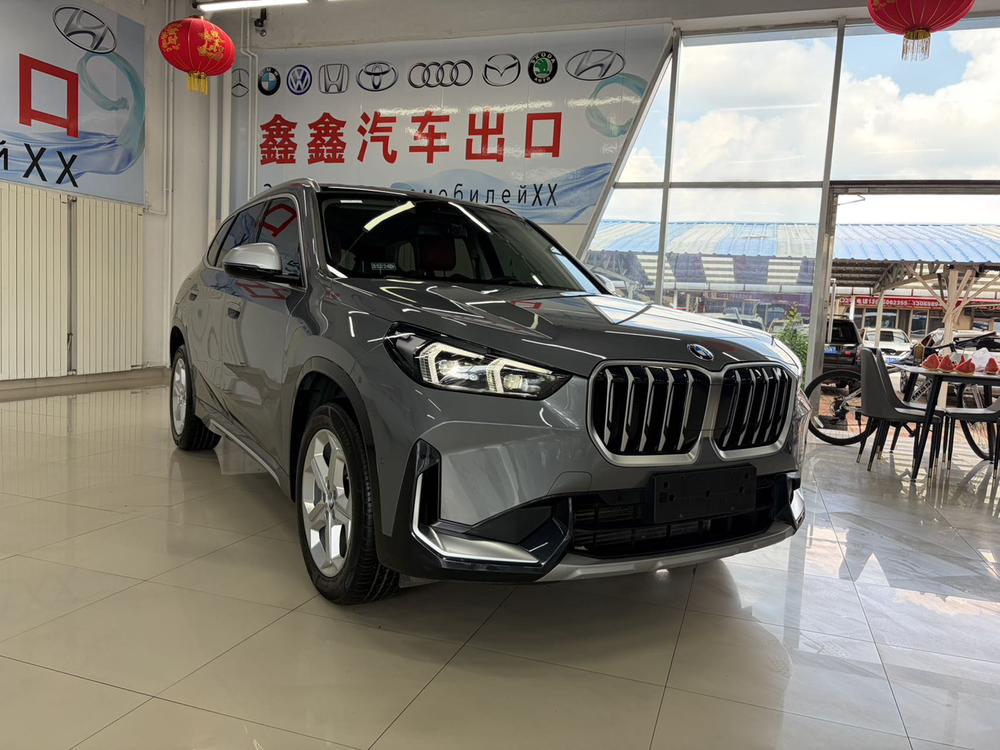 BMW BMW X1