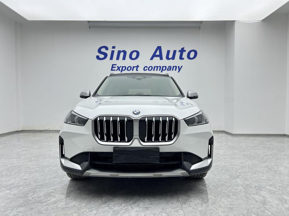 BMW BMW X1
