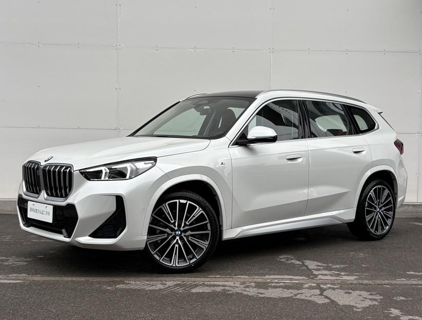BMW BMW X1