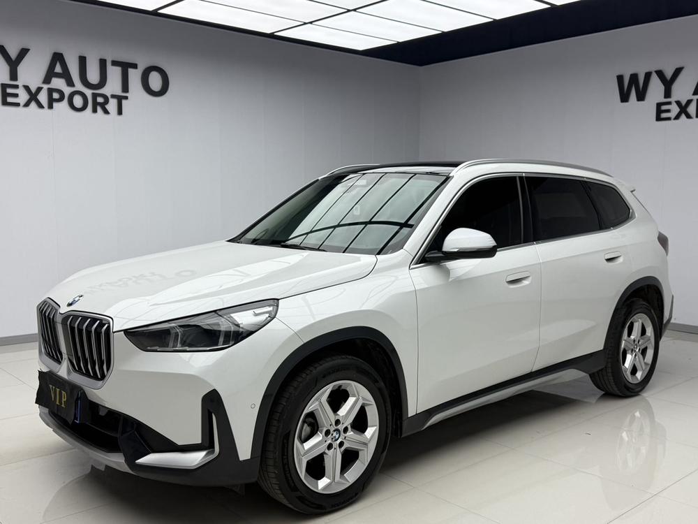 BMW BMW X1