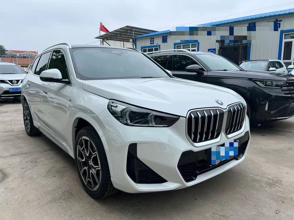 BMW BMW X1
