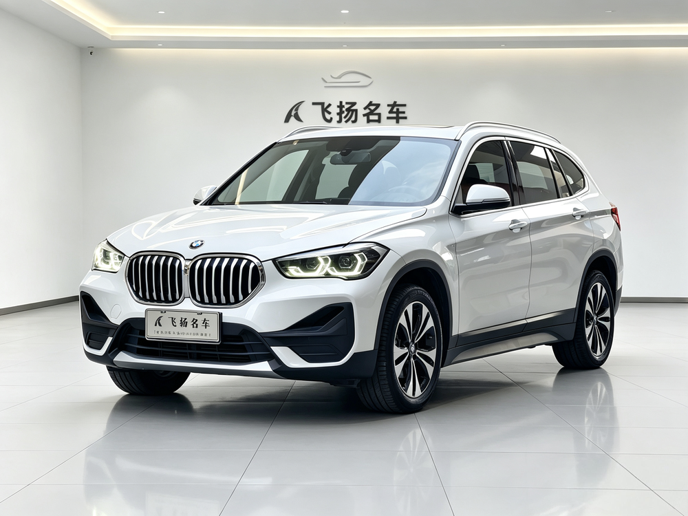BMW BMW X1