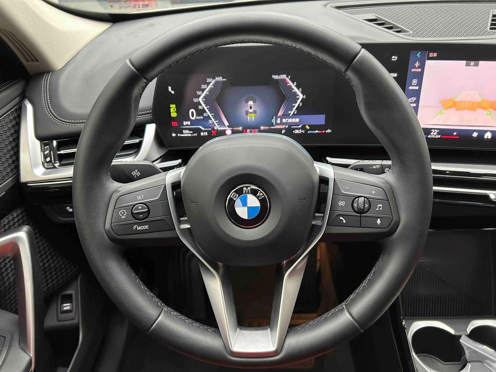 BMW BMW X1