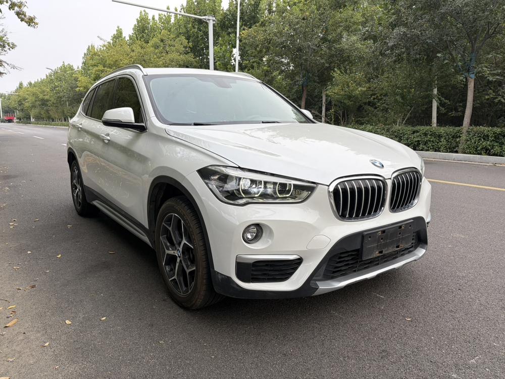 BMW BMW X1