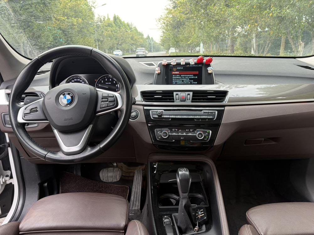 BMW BMW X1