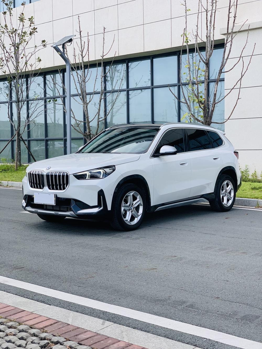 BMW BMW X1