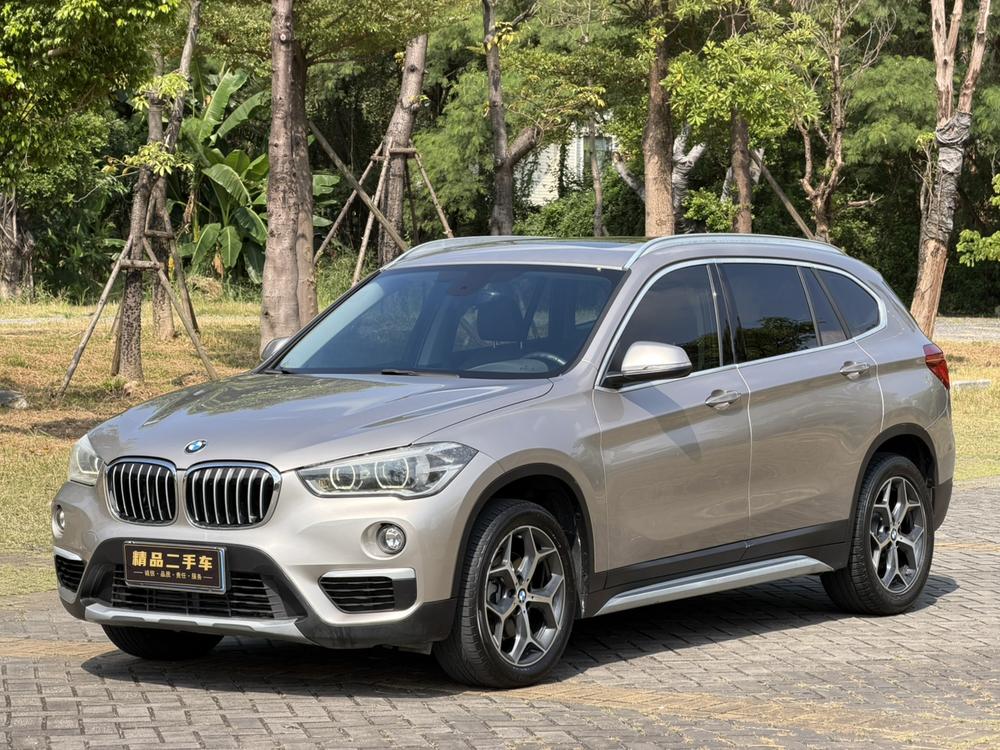 BMW BMW X1