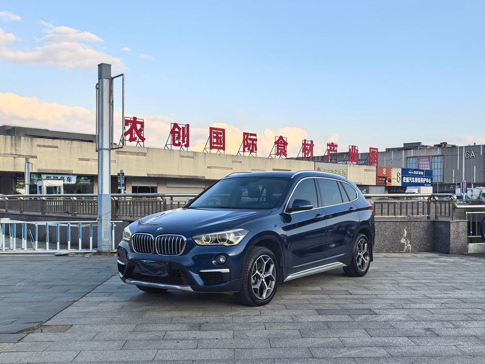 BMW BMW X1