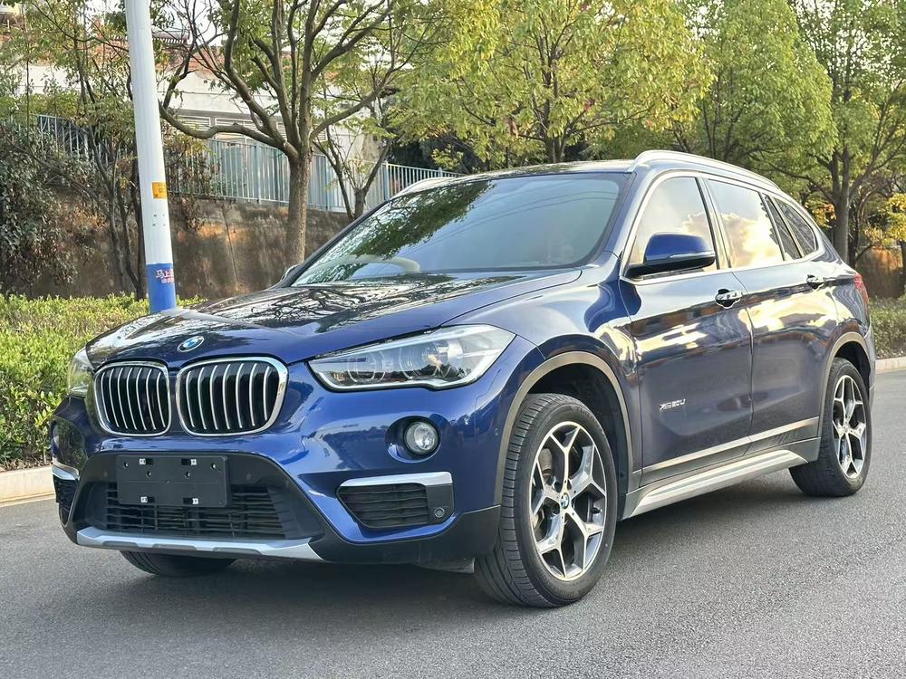 BMW BMW X1