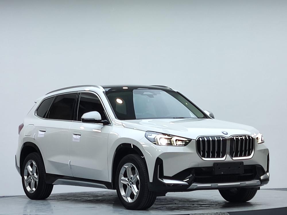 BMW BMW X1