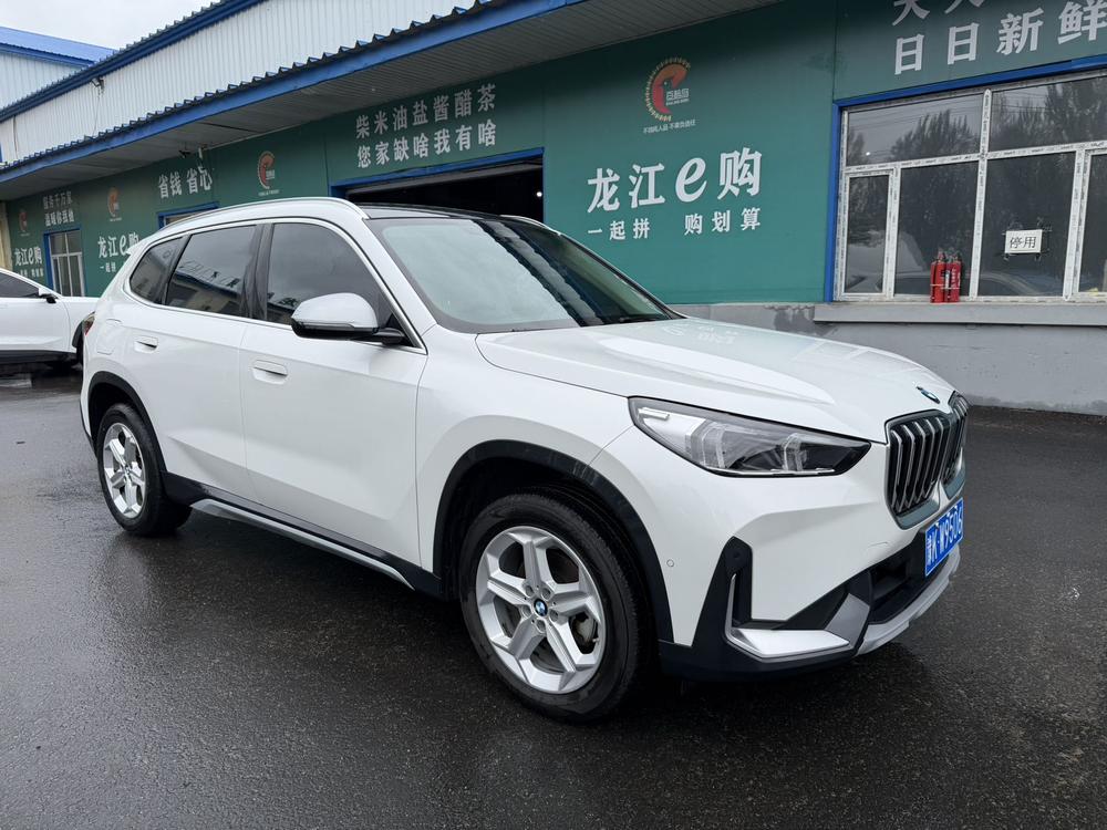 BMW BMW X1