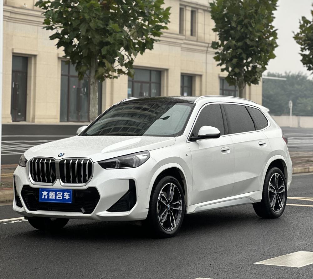 BMW BMW X1