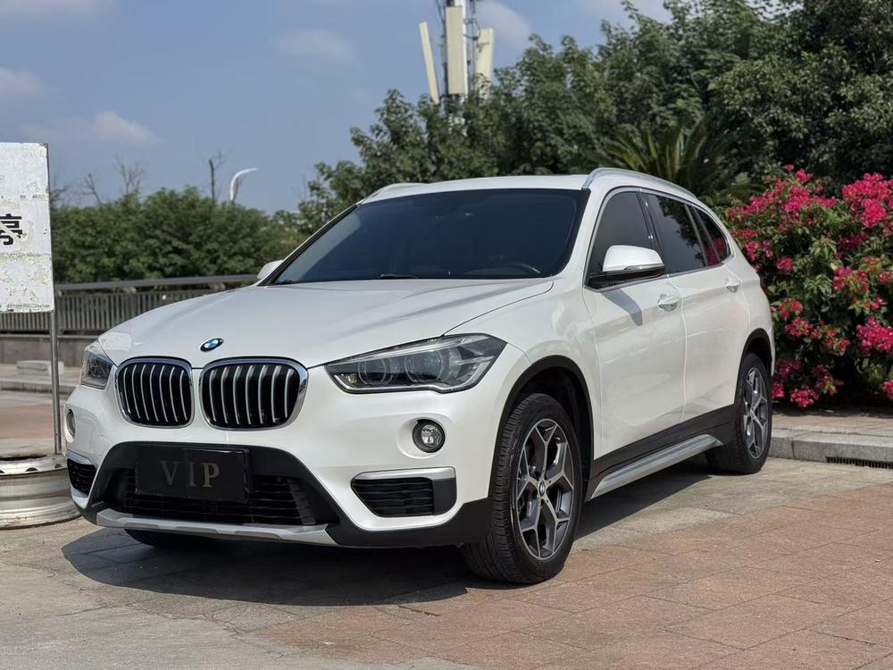 BMW BMW X1
