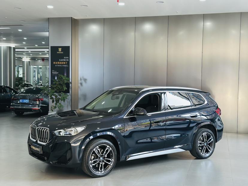 BMW BMW X1
