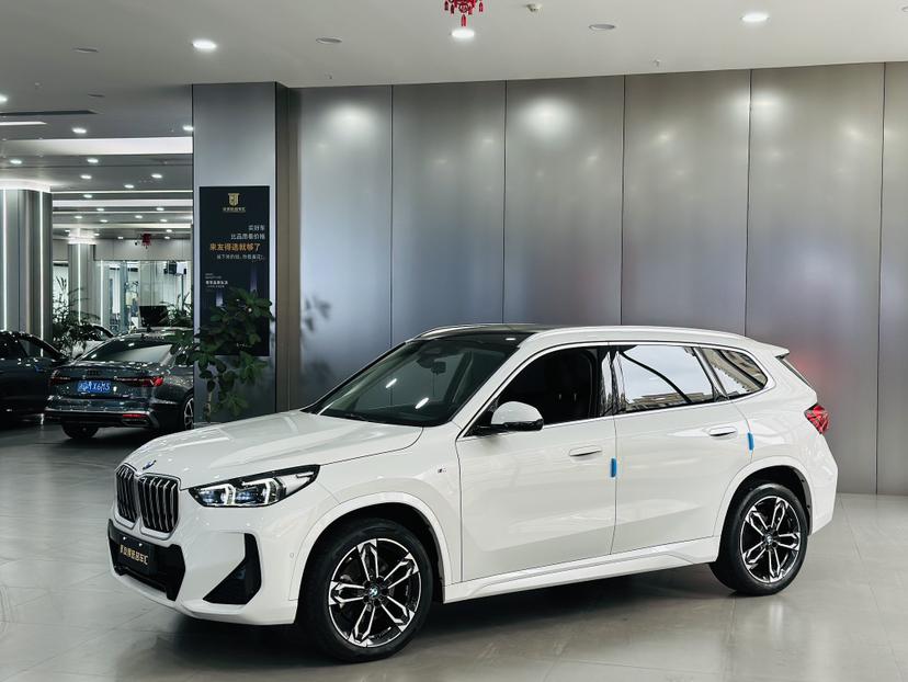 BMW BMW X1