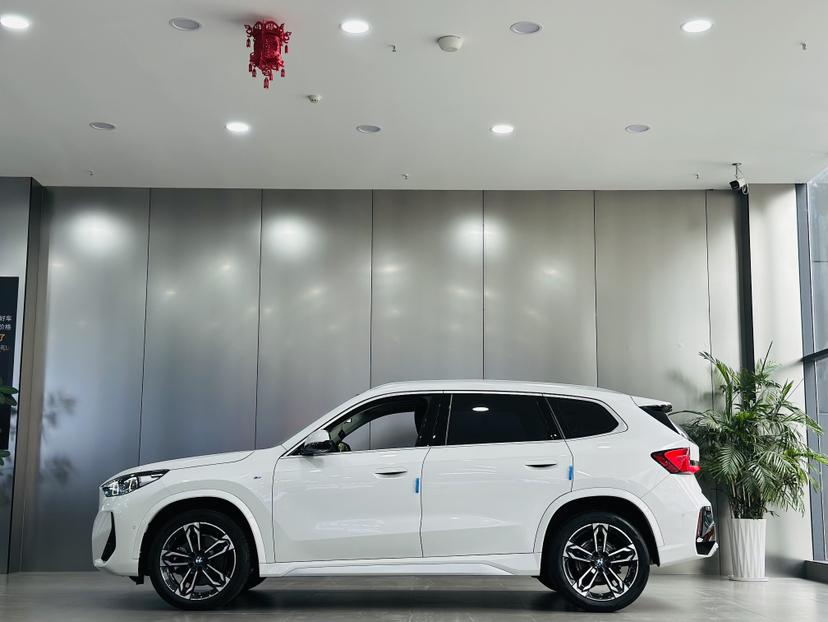 BMW BMW X1