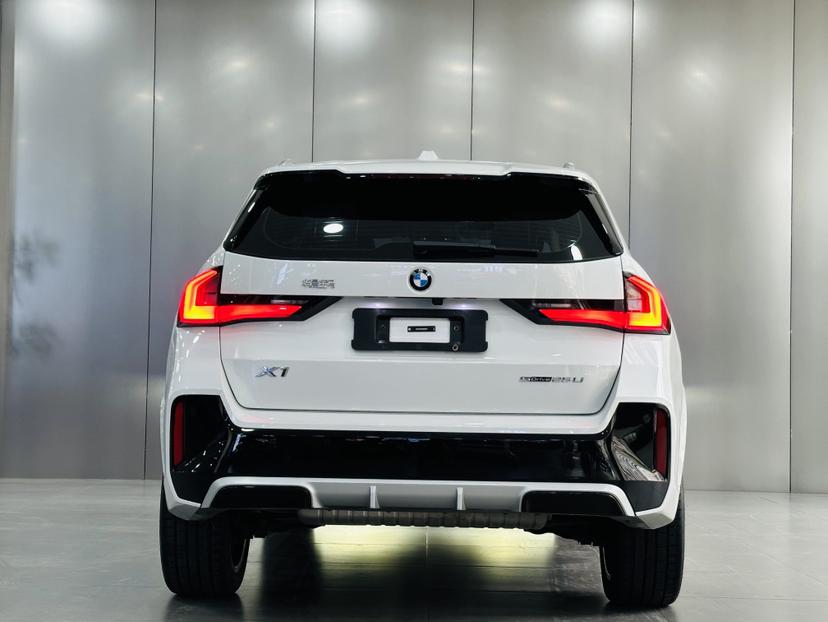 BMW BMW X1