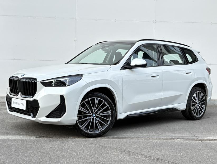 BMW BMW X1