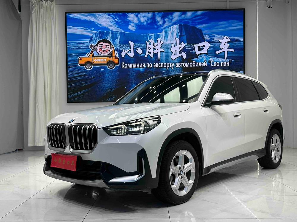BMW BMW X1
