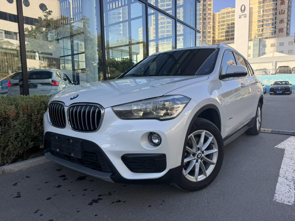 BMW BMW X1