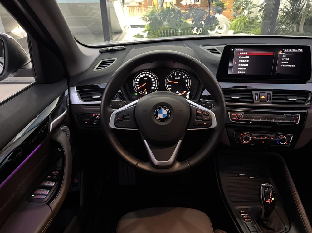 BMW BMW X1