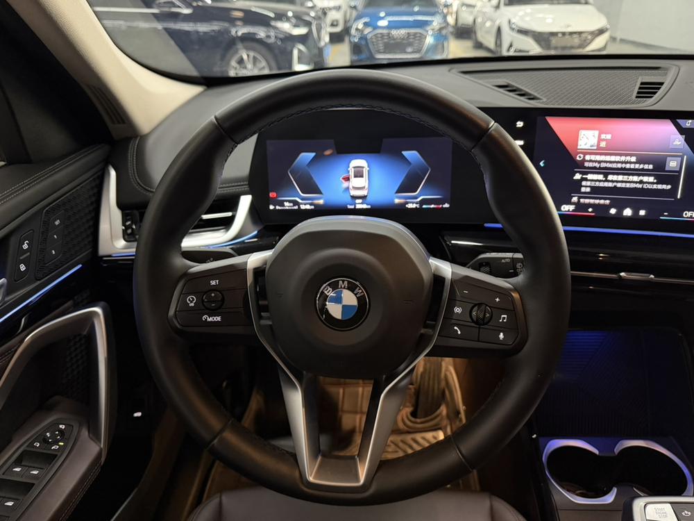 BMW BMW X1