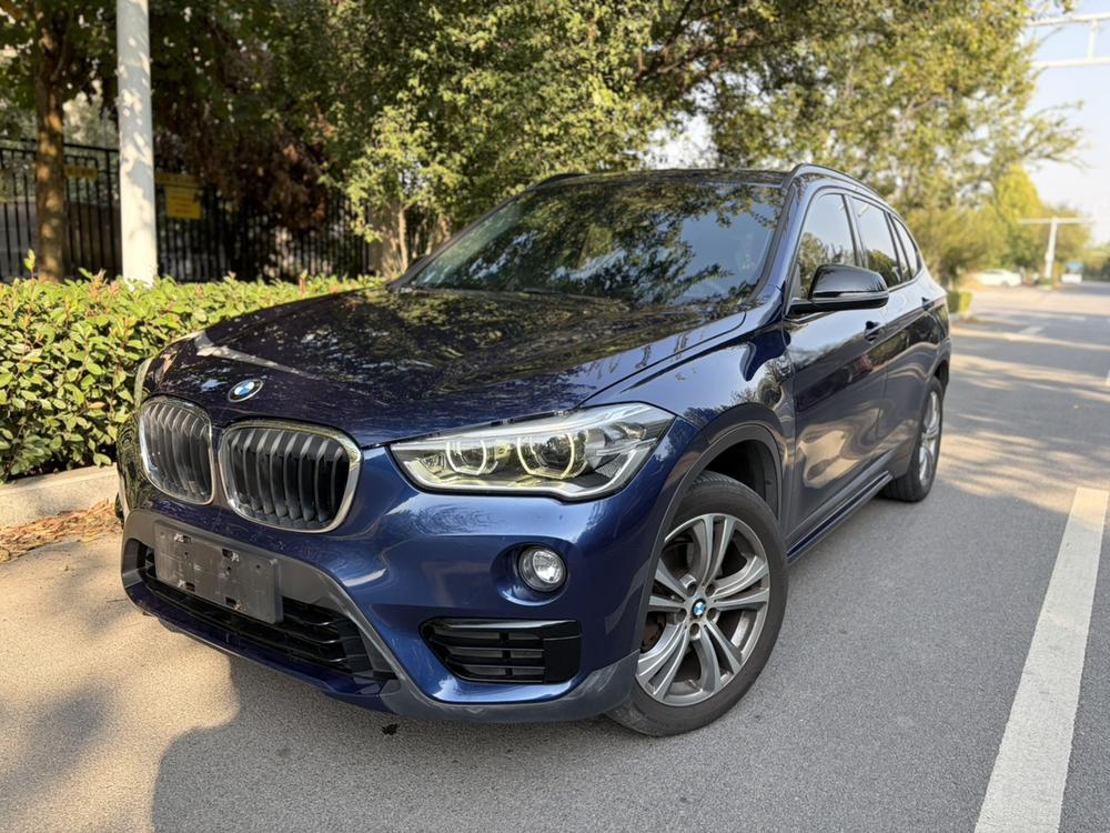 BMW BMW X1