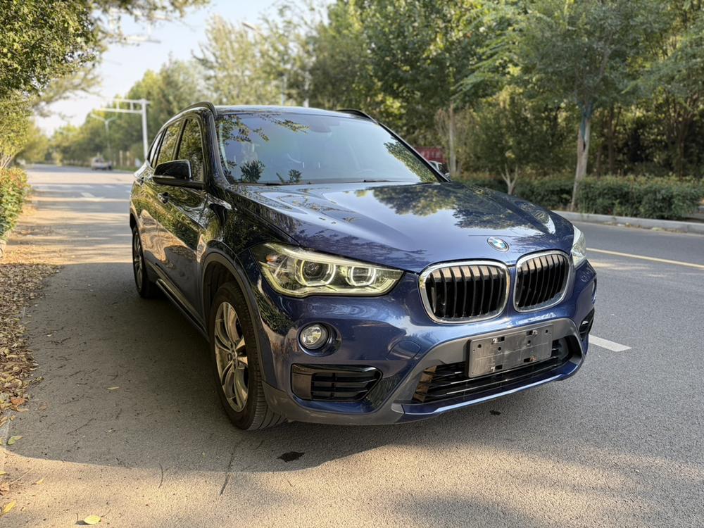 BMW BMW X1