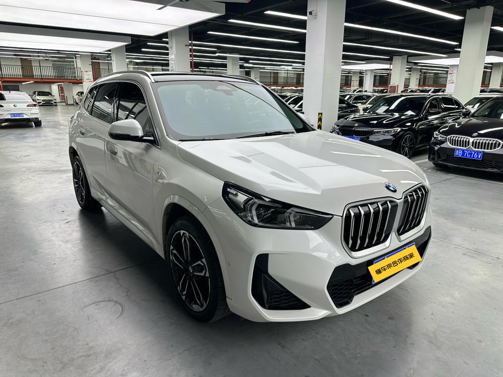 BMW BMW X1