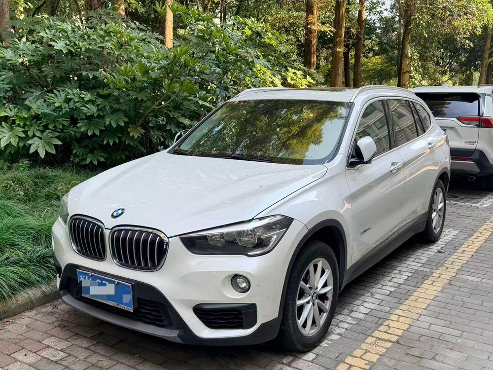 BMW BMW X1