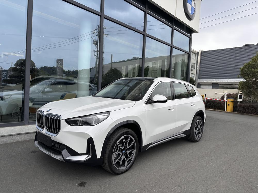 BMW BMW X1