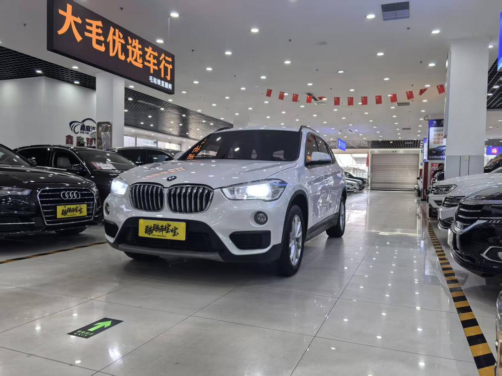 BMW BMW X1