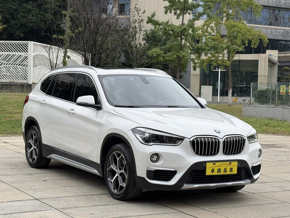 BMW BMW X1