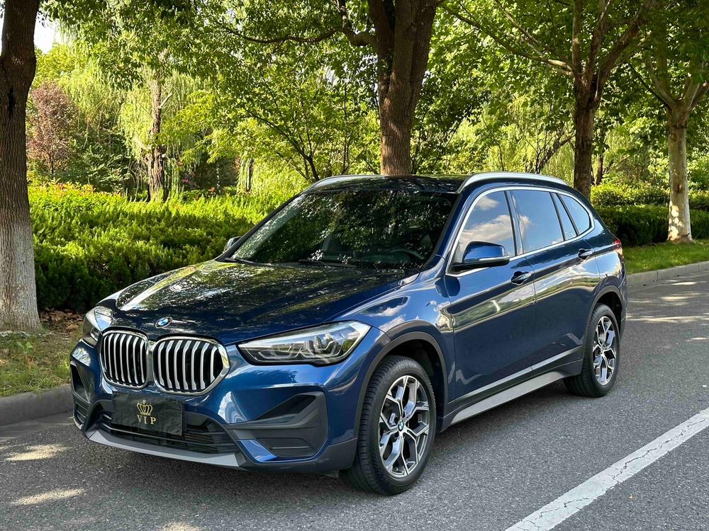 BMW BMW X1