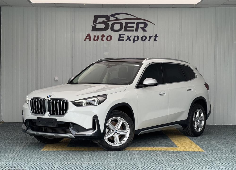 BMW BMW X1