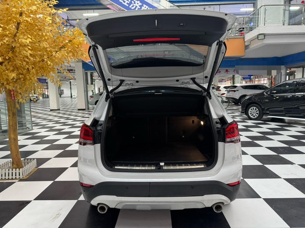 BMW BMW X1