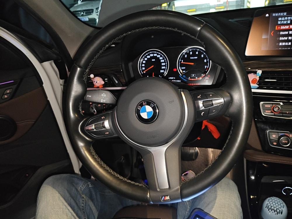 BMW BMW X1