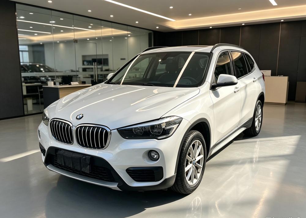 BMW BMW X1