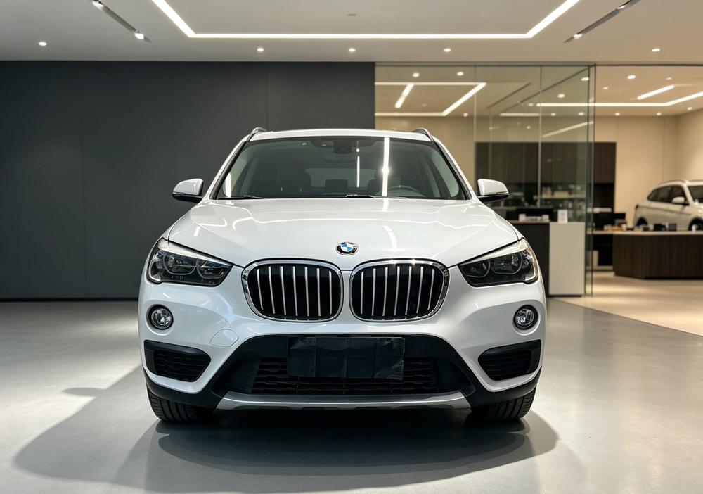 BMW BMW X1