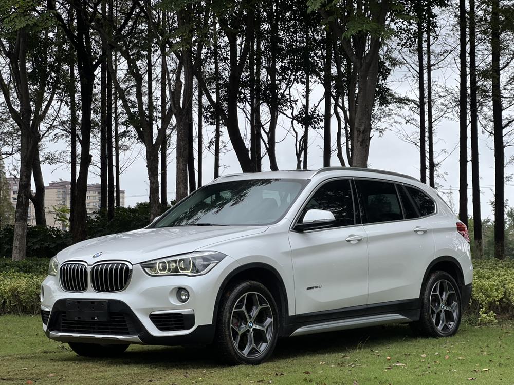 BMW BMW X1