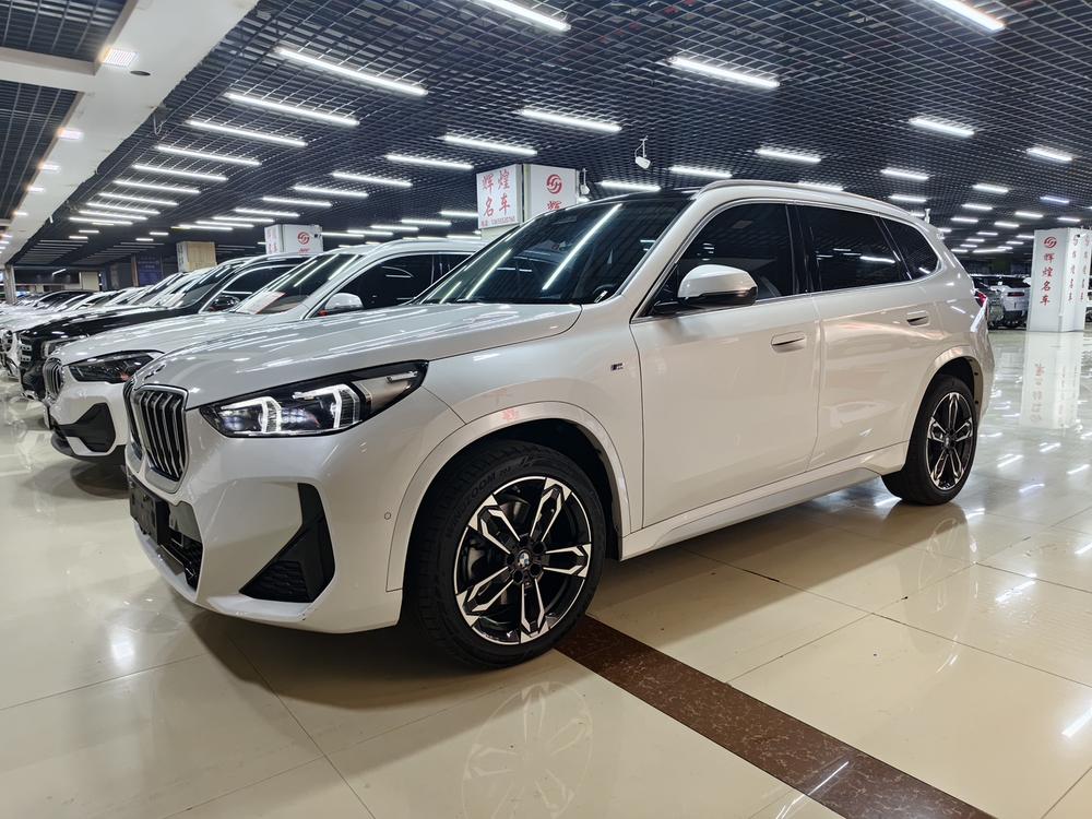 BMW BMW X1