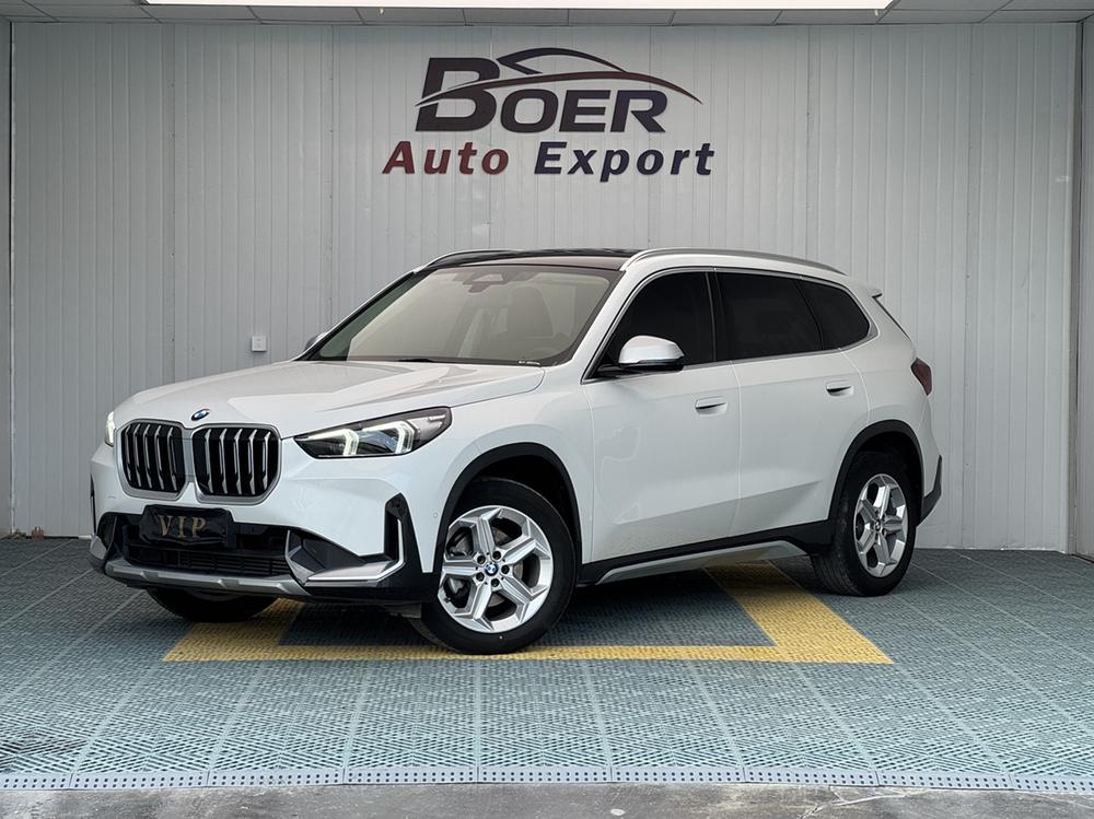BMW BMW X1