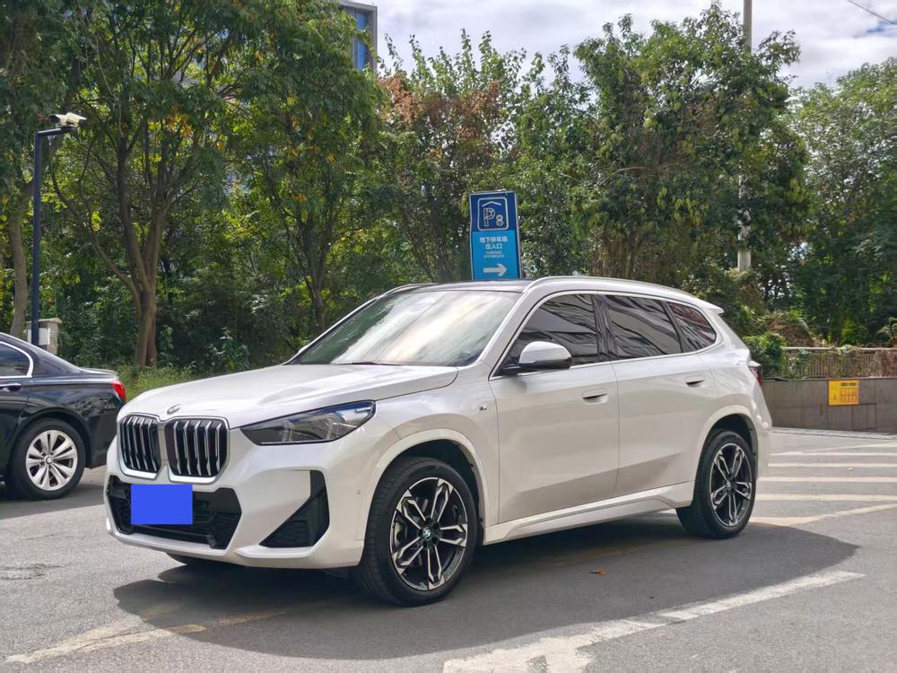 BMW BMW X1