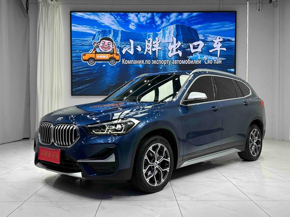 BMW BMW X1